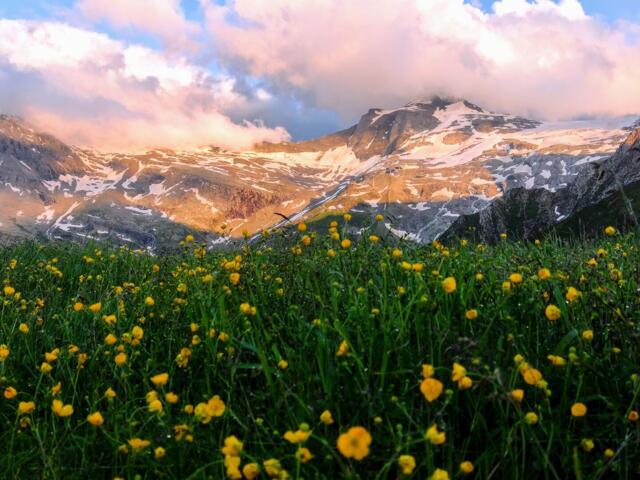 rötliche Wolken mit Bergwiesen