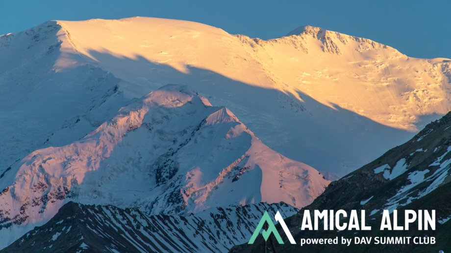 Design ohne Titel (49).png