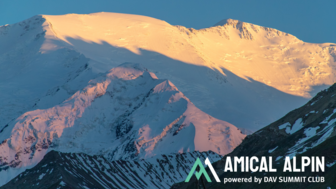 Design ohne Titel (49).png