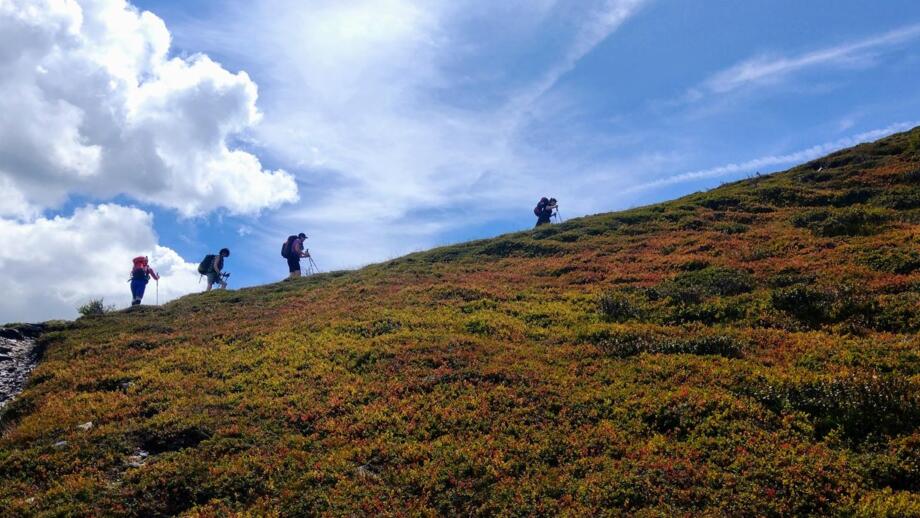 Wandergruppe auf der Alpenüberquerung