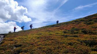 Wandergruppe auf der Alpenüberquerung