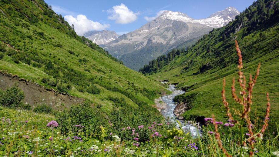 Alpine Landschaft, Wanderweg Stein-Pfunders