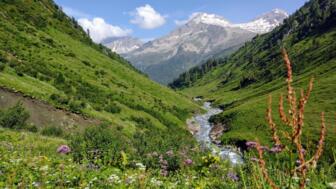 Alpine Landschaft, Wanderweg Stein-Pfunders