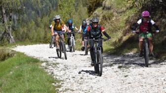 Ein Mountainbike-Gruppe auf Tour. Sie fahren sportlich auf einer Forststraße.