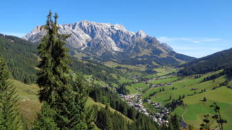 Ein Berg im Hintergrund. Im Vordergrund sieht man den Bergwald. Die Sonne scheint. Der Himmel ist blau.