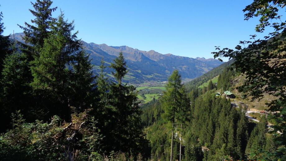 Ein Ausblick in das Tal. Im Vordergrund ist die Bergwald zu sehen.