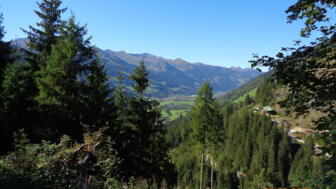 Ein Ausblick in das Tal. Im Vordergrund ist die Bergwald zu sehen.