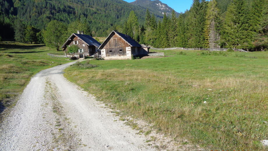 Eine Berghütte. An der Berghütte geht eine Forststraße vorbei. Im Hintergrund sind bewaldete Berge zu sehen.