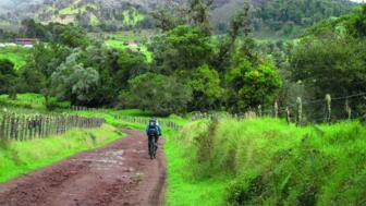 Ein Mountainbiker unterwegs durch Costa Rica. Er fährt auf einer erdigen Straße. Im Hintergrund ist der Regenwald zu sehen.