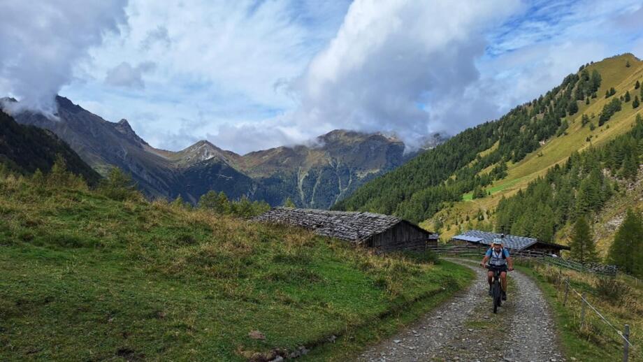 Ein E-Mountainbiker unterwegs auf einer Forststraße. Im Hintergrund sind die Berge zu sehen.