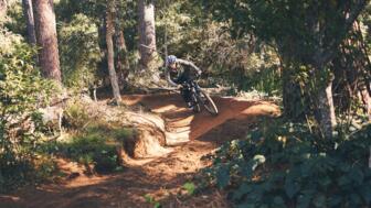 Ein Mountainbiker unterwegs im Wald auf einem Trail beim Fahrtechniktraining.