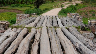 Eine Holzbrücke aus dicken Holzstämmen gebaut. Im Hintergrund ist eine grüne Landschaft zu sehen.
