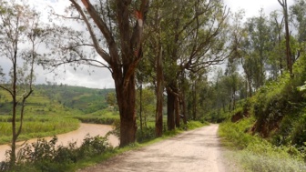 Die Bike-Piste während der Tour in Ruanda. Die Piste ist sandig. Am Wegesrand fließt ein Fluss und es stehen Bäume am Flussufer.