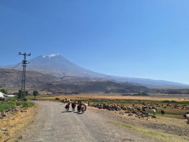 Blick Richtung Ararat