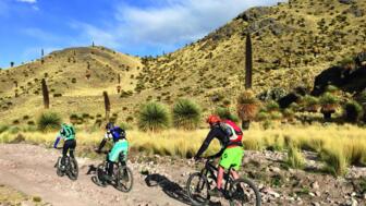 Eine Mountainbikegruppe unterwegs in Peru. Sie fahren auf der Bergstrasse Puya Ramondi. Die Vegetation ist mit Palmen gesäumt. Die Sonne scheint. Der Himmel ist leicht bewölkt und die Sonne scheint.