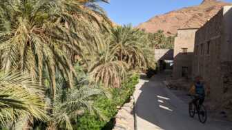 Ein Mountainbiker fährt durch ein kleines Dorf in Marokko. Am Wegesrand sind Palmen. In Hintergrund sieht man die Berge des Atlasgebirges.