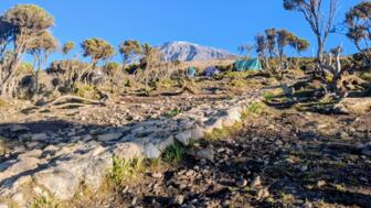 tansania-kilimandscharo-TANOR-WhatsApp Image 2026-01-19 at 16.37.09(2).jpg