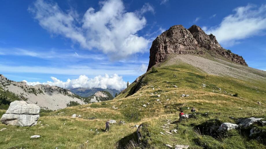 Wandergruppe in Wiesenlandschaft
