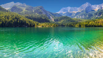 Tovelsee eingebettet in eine riesige Mulde und von Kiefern gesäumt