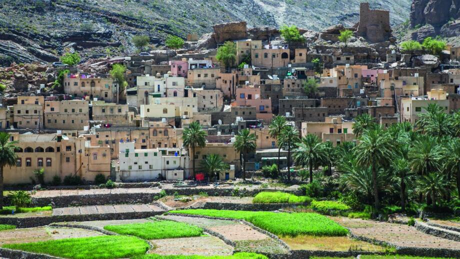 Grüne Oase mit Häusern und Palmen im Oman