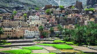 Grüne Oase mit Häusern und Palmen im Oman