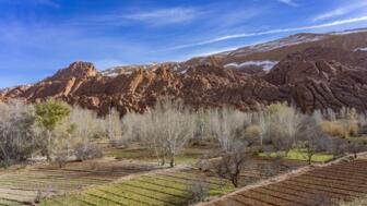 marokko-dades tal-monkey fingers-MAVAL-shutterstock_2731780607.jpg