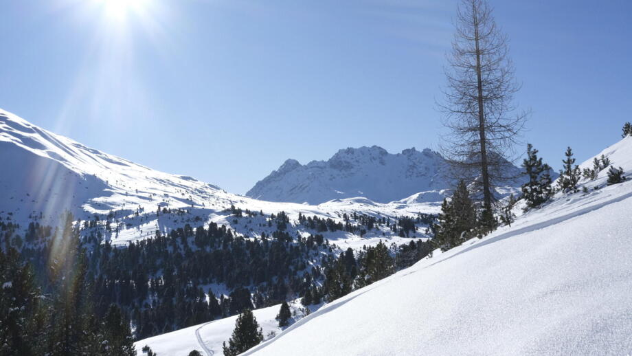 Winterlandschaft mit Sonne und blauem Himmel