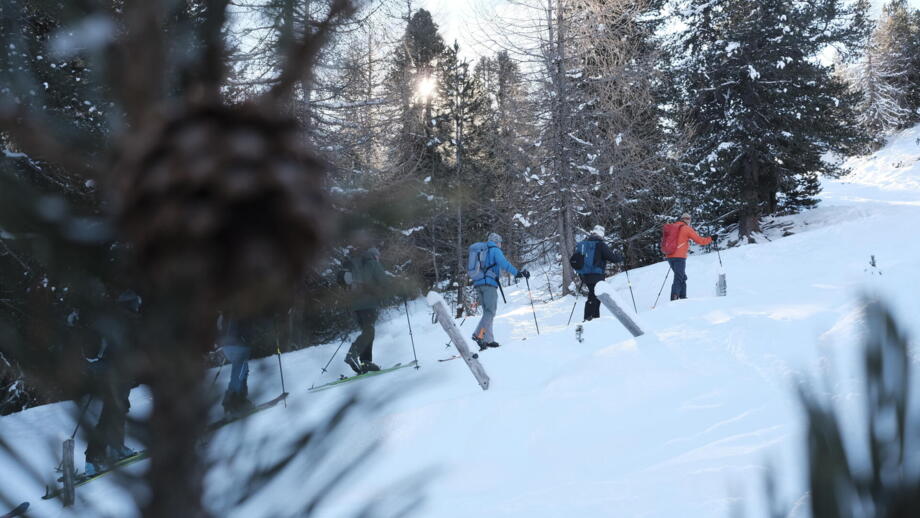 Gruppe im Aufstieg mit Skitourenski und Fellen in Schnee