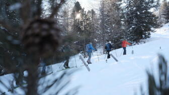 Gruppe im Aufstieg mit Skitourenski und Fellen in Schnee