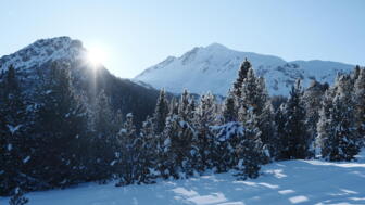 Winterlandschaft mit Sonne und blauem Himmel