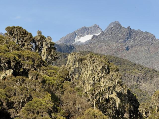 Ruwenzori Gebirge in Uganda mit Blick zur Margherita Spitze