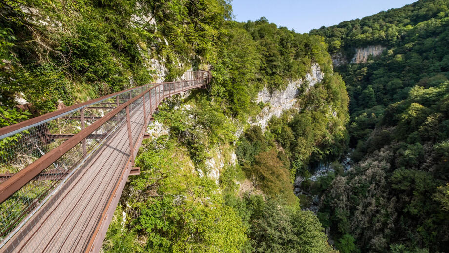 Holzsteg über dem Okatse-Canyon in felsiger und mit Bäumen bewachsender Landschaft