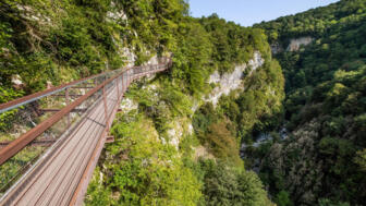 Holzsteg über dem Okatse-Canyon in felsiger und mit Bäumen bewachsender Landschaft