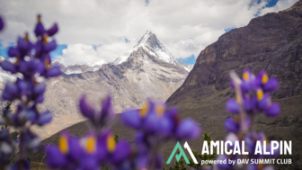 Blick auf den Gipfel