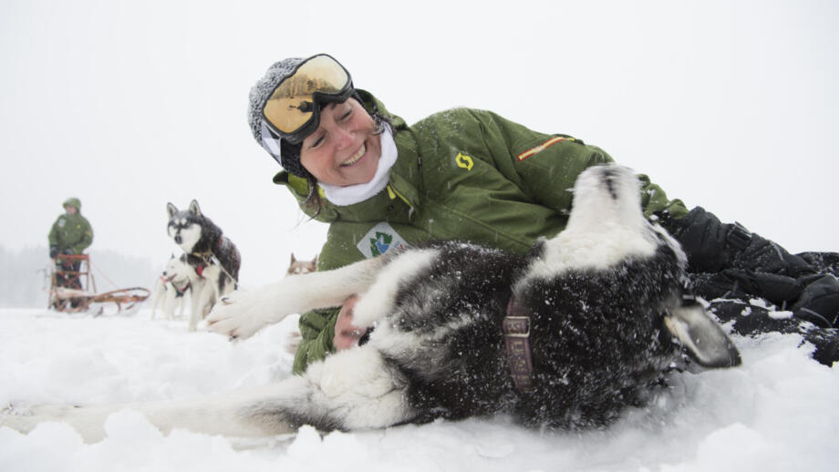 Eine junge Frau liegt im Schnee mit einem Husky