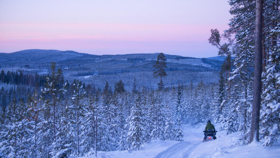 Die Landschaft Schwedisch Lapplands in der Dämmerung