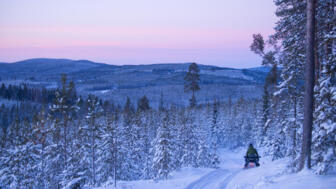 Die Landschaft Schwedisch Lapplands in der Dämmerung