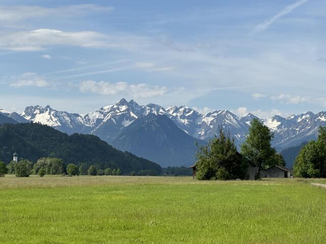 Die Bergwelt der Allgäuer Alpen im Hintergrund. Im Vordergrund ist Alm-/Wiesenlandschaft zu sehen. Der Himmel ist leicht bewölkt. Die Gipfel sind leicht schneebedeckt.