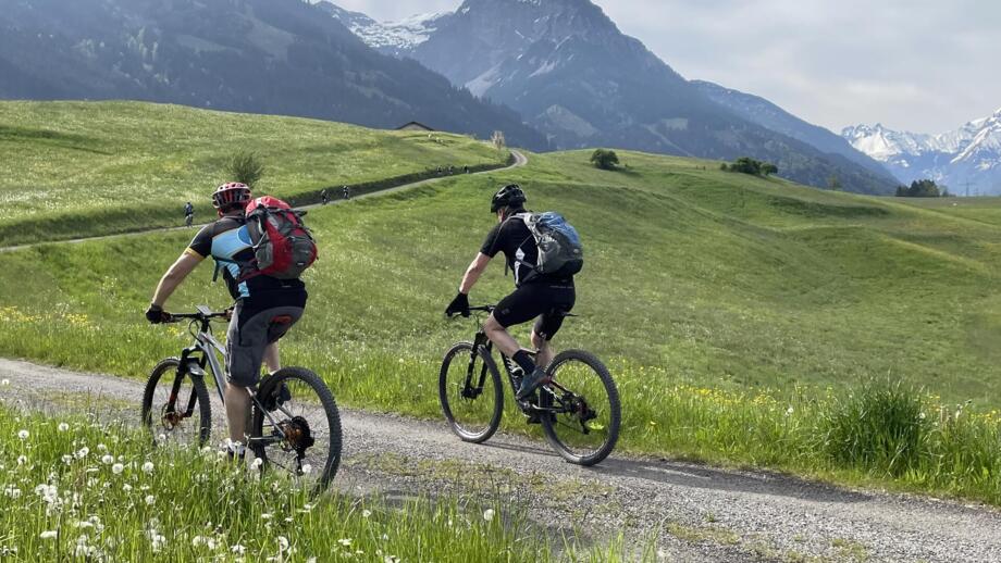 Eine MTB-Gruppe unterwegs auf Tour im Allgäu. Im Hintergrund ist die Allgäuer Bergwelt zu sehen. Der Himmel ist bewölkt.