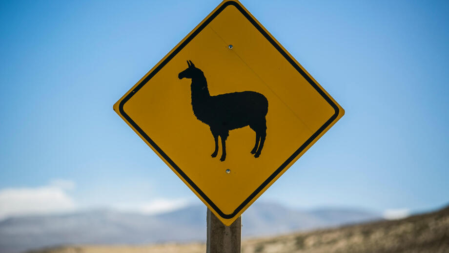 straßenschild Warnung vor Lama-Wildwechsel