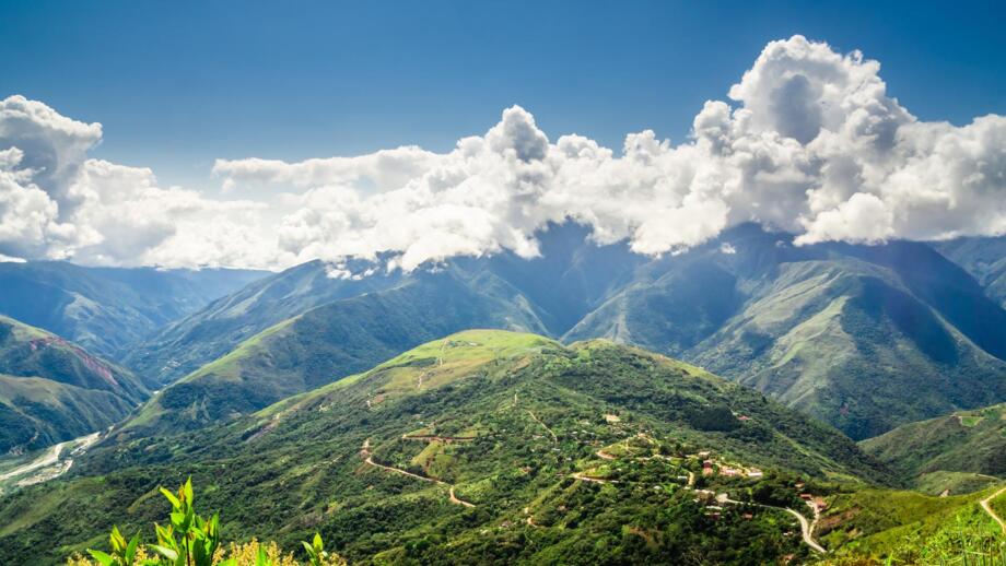 Pfade in grüner Landschaft in den Yungas