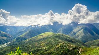 Pfade in grüner Landschaft in den Yungas