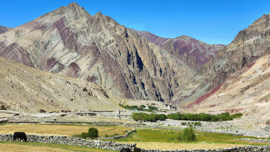 Karge Felslandschaft in Ladakh mir grüner Oase