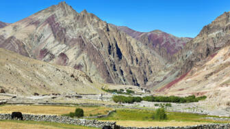 Karge Felslandschaft in Ladakh mir grüner Oase