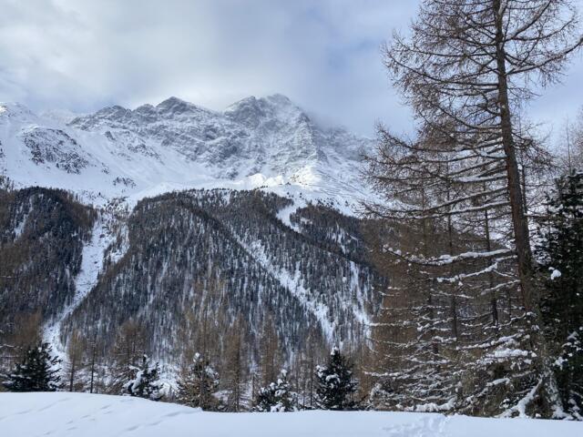 verschneiter Berg im Ortler Gebiet