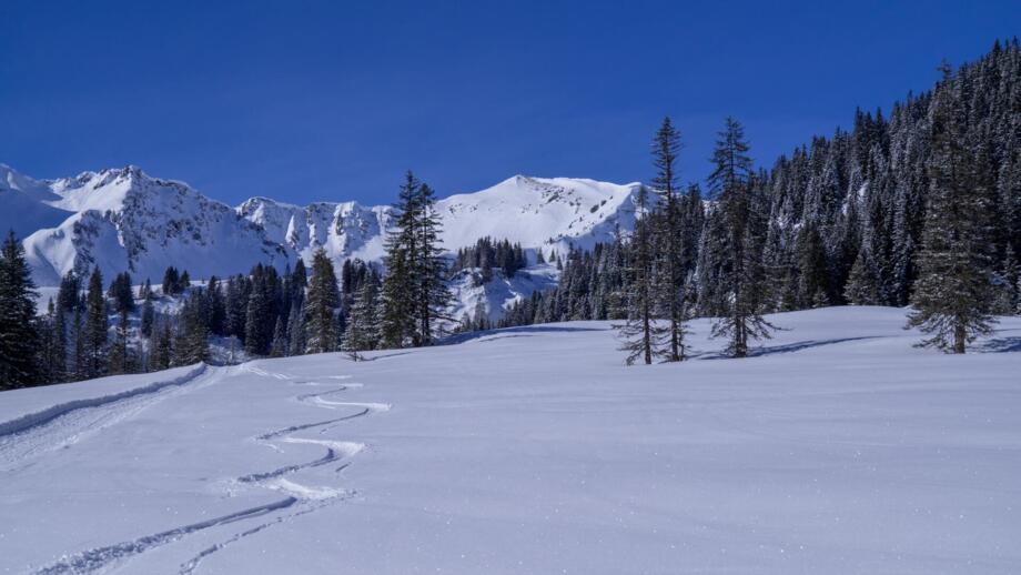 oesterreich-kleinwalsertal-skitouren-riezlern-genuss-und-aktivhotel-sonnenburg-shall-bg-160224-hehlekopf-0005.jpg