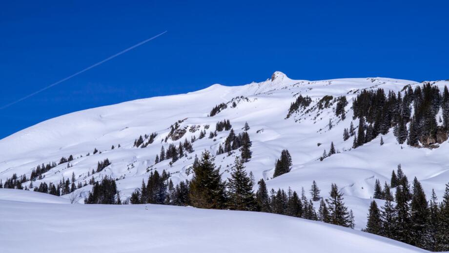 oesterreich-kleinwalsertal-skitouren-riezlern-genuss-und-aktivhotel-sonnenburg-shall-bg-160224-hehlekopf-0009.jpg