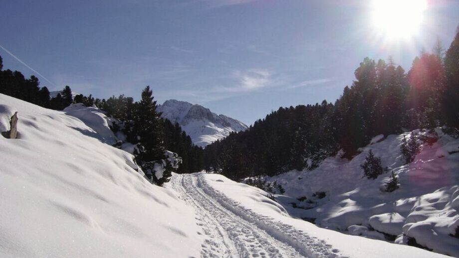 SHMAYRIMG0171.jpg