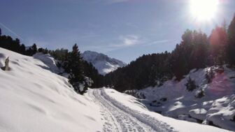 SHMAYRIMG0171.jpg