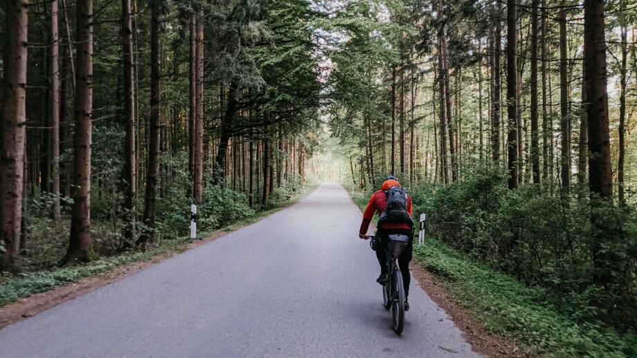 Ein Radfahrer fährt auf einer stillen Straße durch einen dichten Wald, umgeben von hohen Bäumen und weichem Abendlicht.